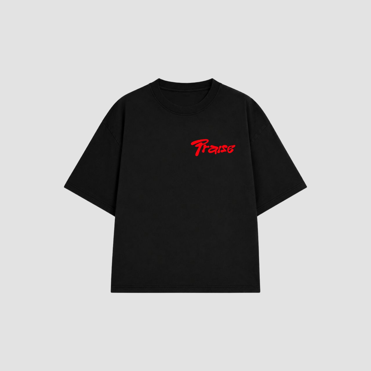 Camiseta Praise the Lord